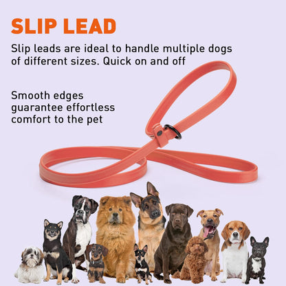 Dogline Biothane Slip Lead