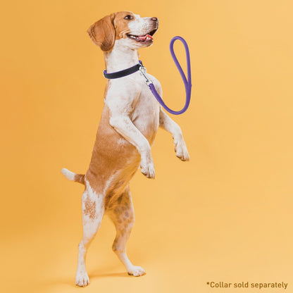 Dogline Soft Leather Round Traffic Lead