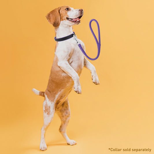 Dogline Soft Leather Round Traffic Lead