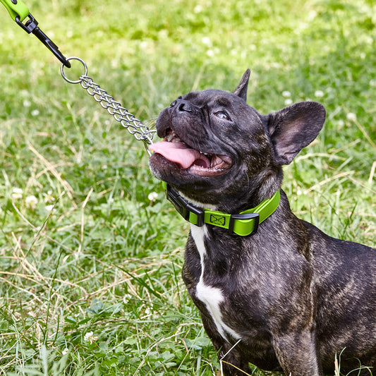 Dogline Biothane Adjustable Martingale Collar with Quick Release Buckle