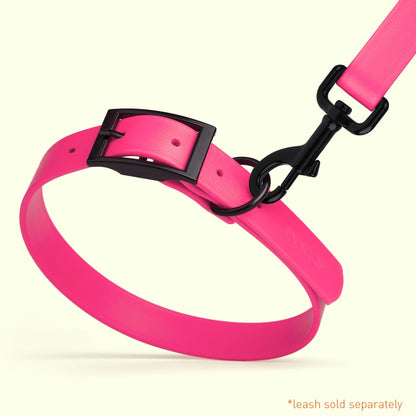 Dogline Biothane Waterproof Collar - X-Small (9 to 12 inches)