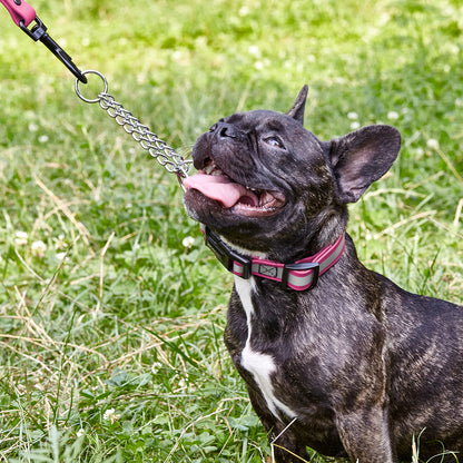 Dogline Reflective Biothane Martingale Collar with Quick Release Buckle