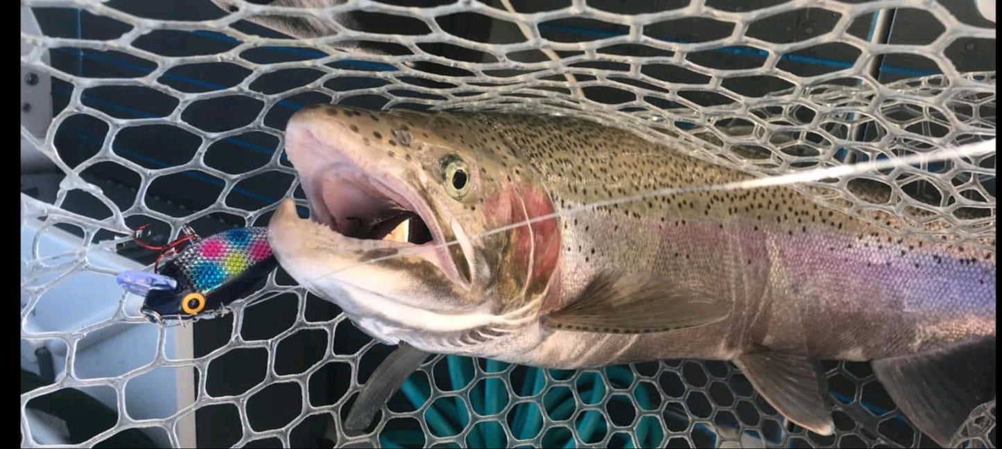 Ice Strong Outdoors - Killer Fish - Rattling Shallow Diver UV - NEW 2026 Colors Just Released!