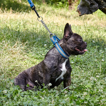 Dogline Reflective Biothane Martingale Collar
