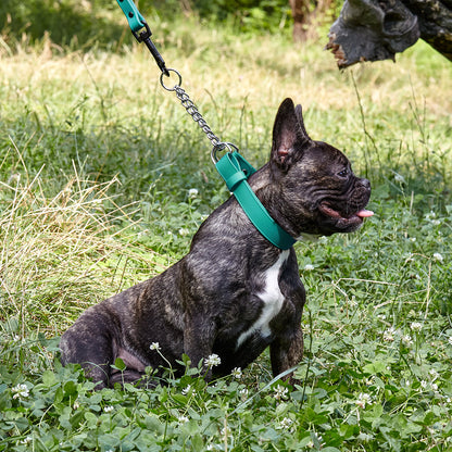 Dogline Biothane Adjustable Martingale Collar