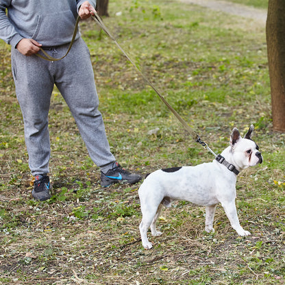 Dogline Biothane Waterproof Multi-Handle Leash