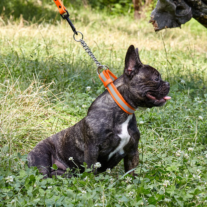 Dogline Reflective Biothane Martingale Collar with Quick Release Buckle