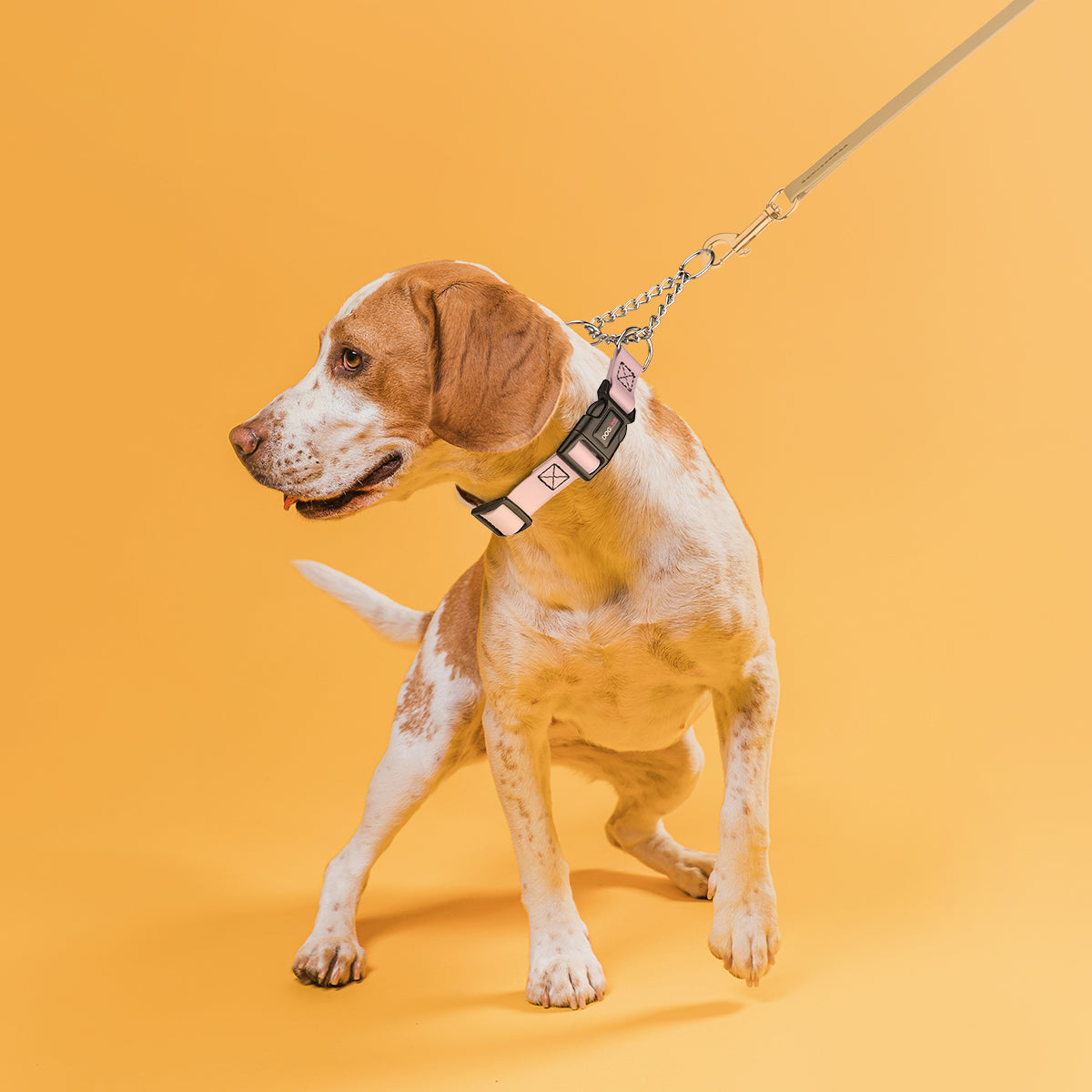 Dogline Biothane Adjustable Martingale Collar with Quick Release Buckle