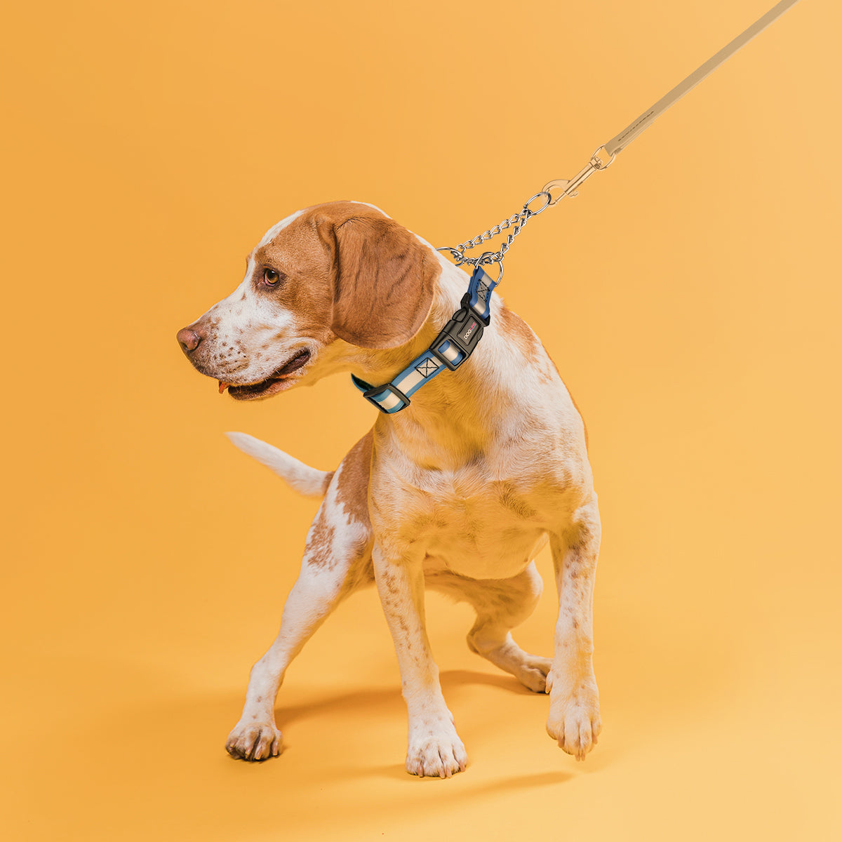 Dogline Reflective Biothane Martingale Collar with Quick Release Buckle