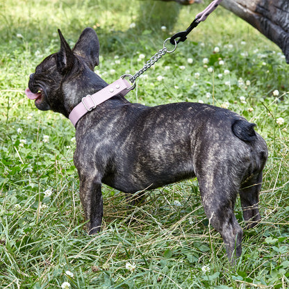Dogline Biothane Adjustable Martingale Collar