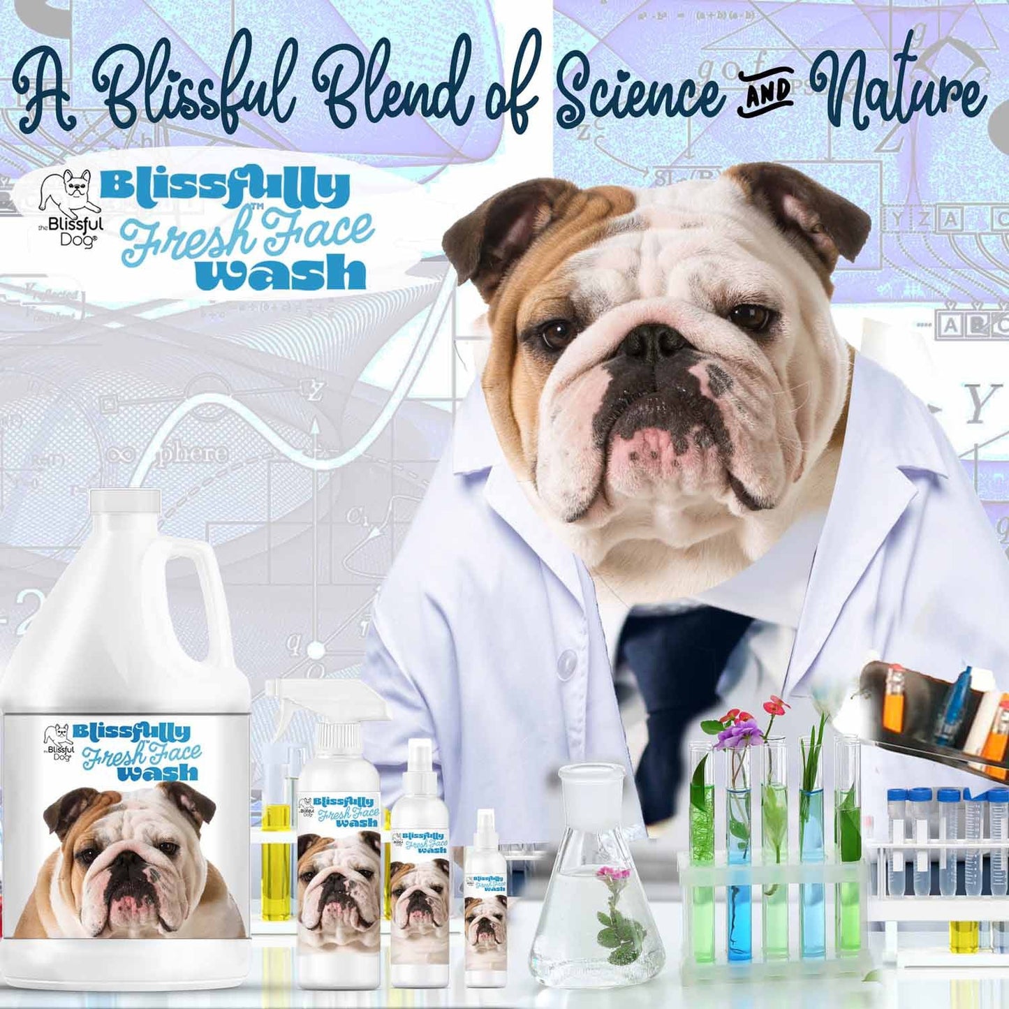 The Blissful Dog Bulldog Blissfully Fresh™ Face Wash