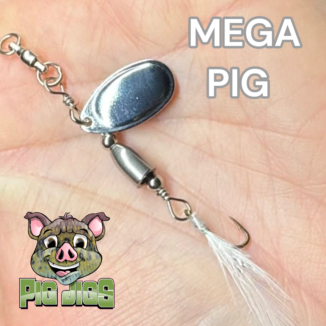Pig Jigs 1/10 OZ TUNGSTEN "SWINE IN LINE"