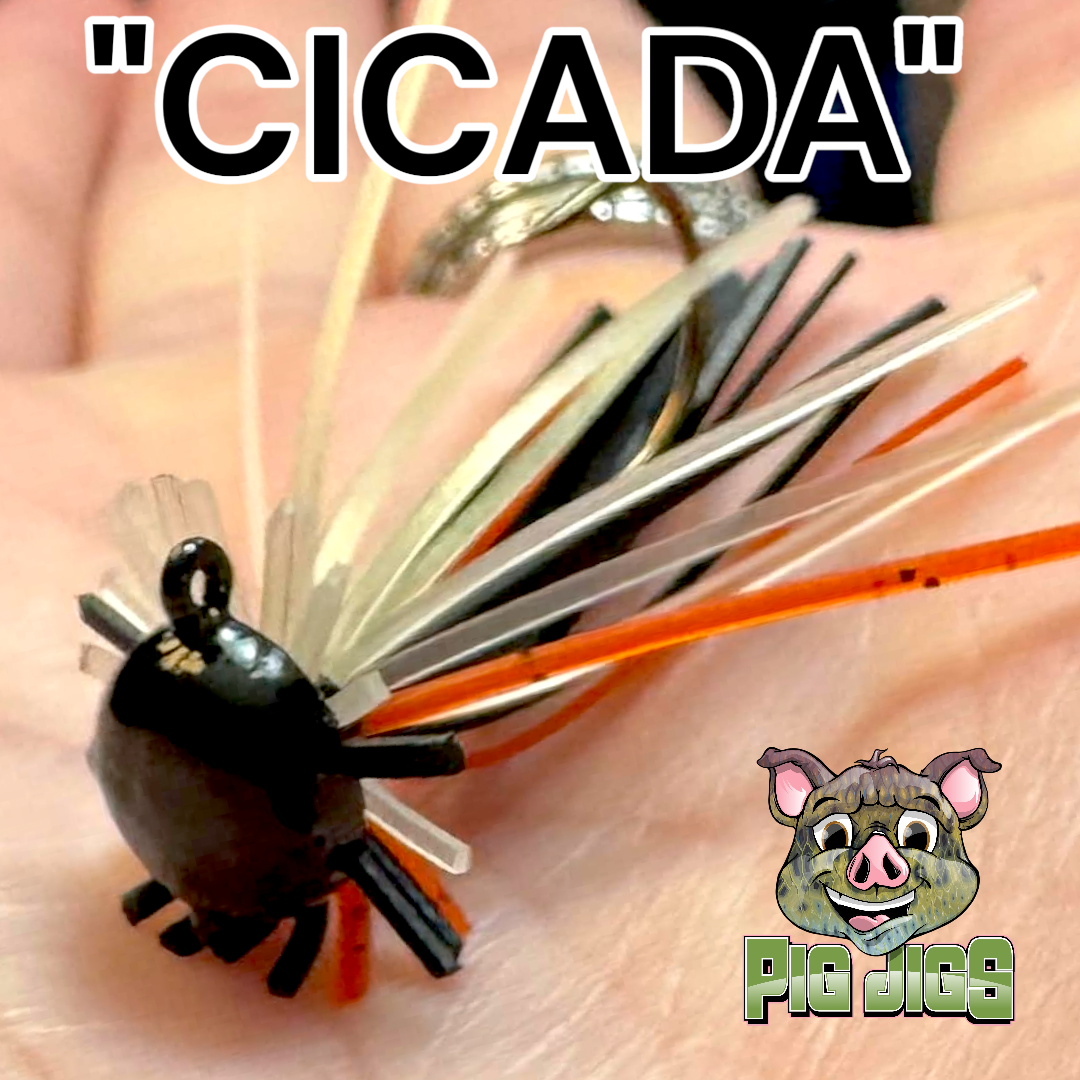 1/16 OZ BUGGY JIGLET