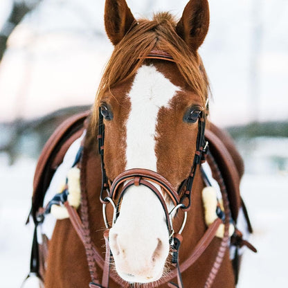 Bridles & Reins ExionPro Twin Designer Fancy Stitched English Snaffle Bridle with Reins