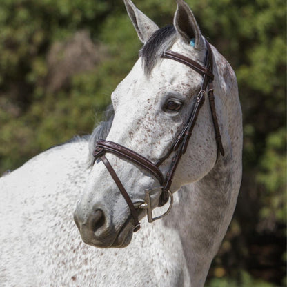Bridles & Reins Replacement Noseband of ExionPro 'Phoenix' Convertible Jumping Bridle with Removable Flash