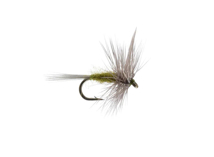 Clouser's Blue winged Olive
