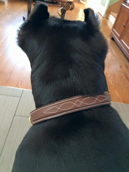 Bridles & Reins ExionPro Fancy Stitched Padded Leather Dog Collar - Oak Brown Padding