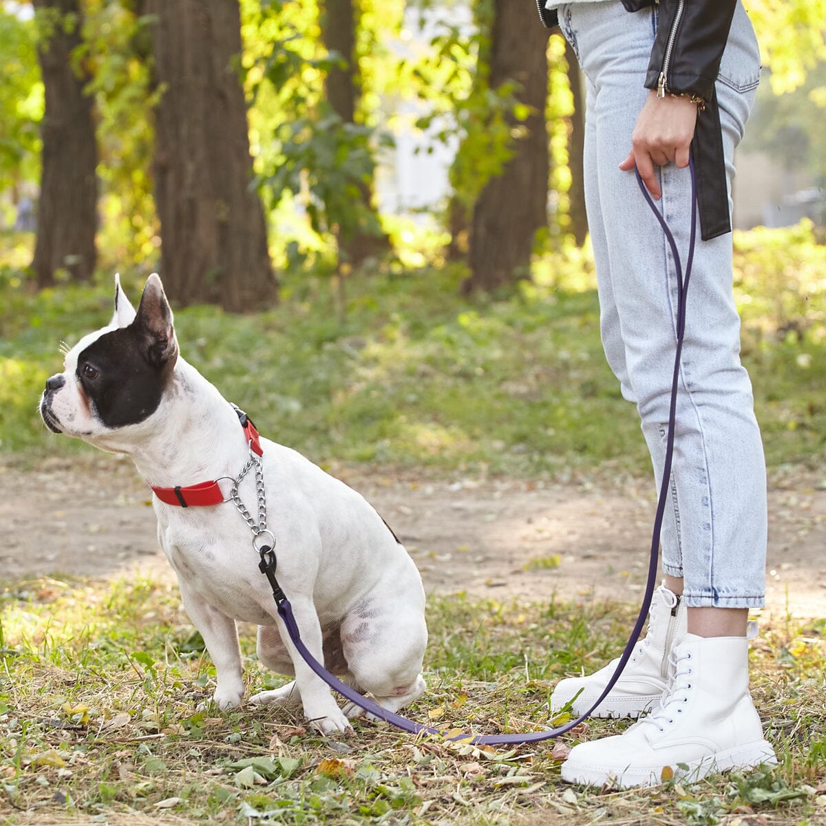 Dogline Biothane Waterproof Leash 2 ft