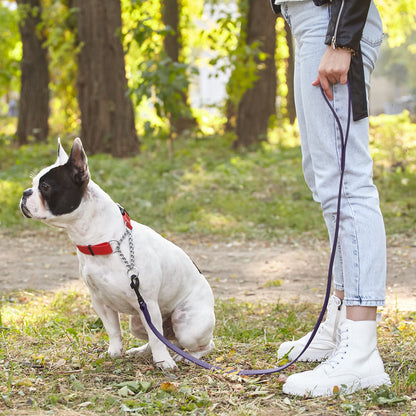 Dogline Biothane Waterproof Leash 4 ft