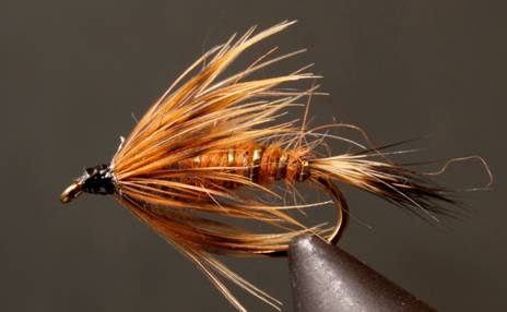 Stone Creek Red Fox Squirrel Nymph