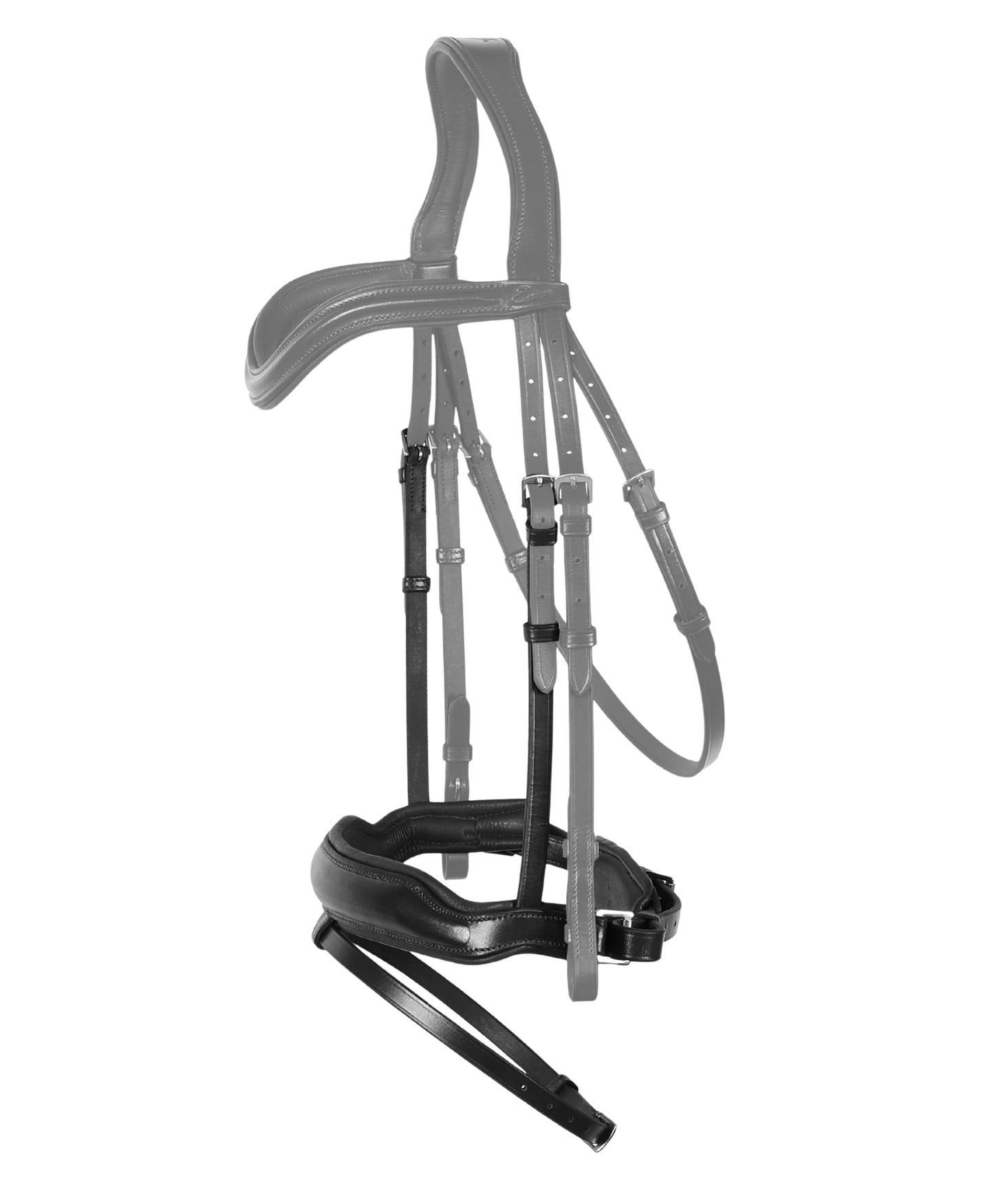 Bridles & Reins Replacement Noseband of ExionPro 'Leo' Classic Dressage Bridle