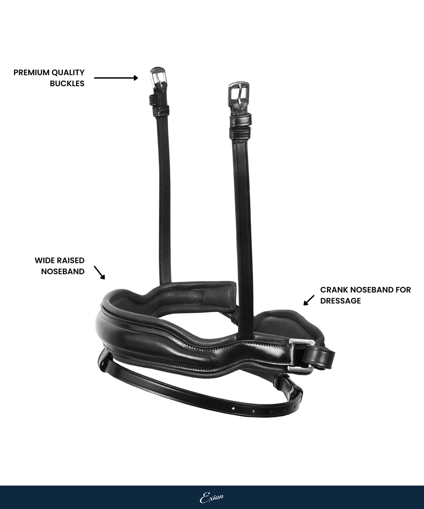 Bridles & Reins Replacement Noseband of ExionPro 'Leo' Classic Dressage Bridle