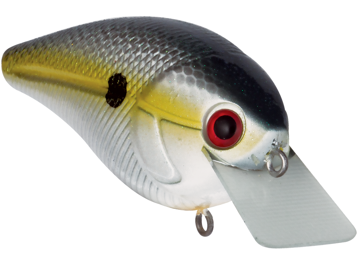 Livingston Lures Primetyme SQ 2.0 (EBS MultiTouch)