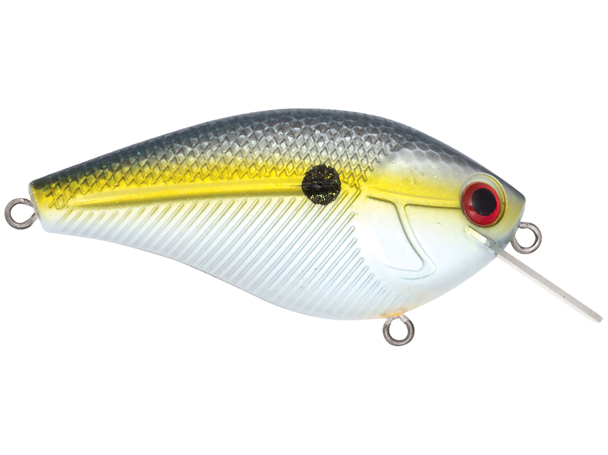 Livingston Lures Primetyme SQ 2.0 (EBS MultiTouch)