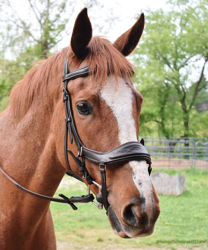 Bridles & Reins ExionPro 'Auriga' Anti-Pressure Bridle with Reins