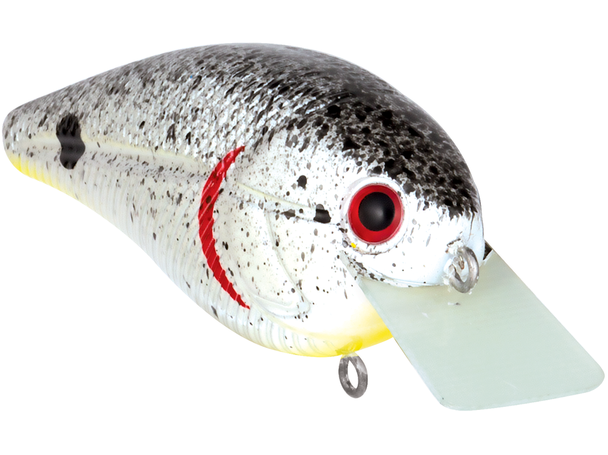 Livingston Lures Primetyme SQ 2.0 (EBS MultiTouch)