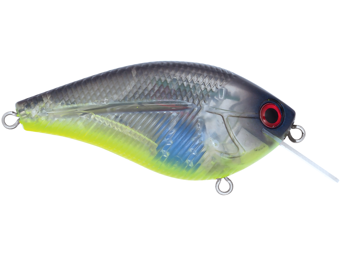 Livingston Lures Primetyme SQ 2.0 (EBS MultiTouch)