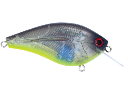 Livingston Lures Primetyme SQ 2.0 (EBS MultiTouch)