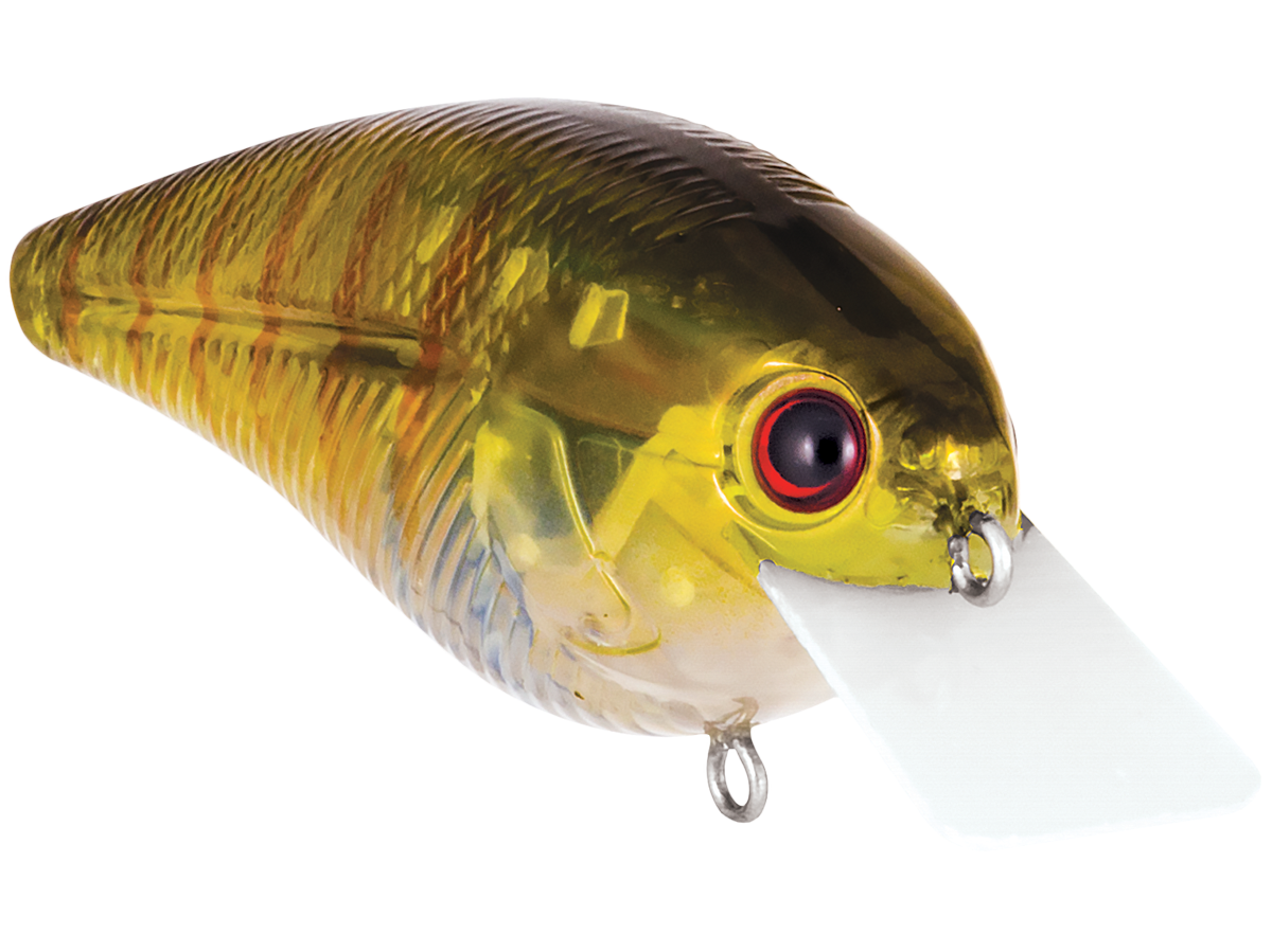 Livingston Lures Primetyme SQ 2.0 (EBS MultiTouch)