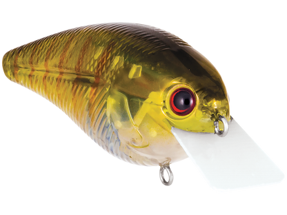 Livingston Lures Primetyme SQ 2.0 (EBS MultiTouch)