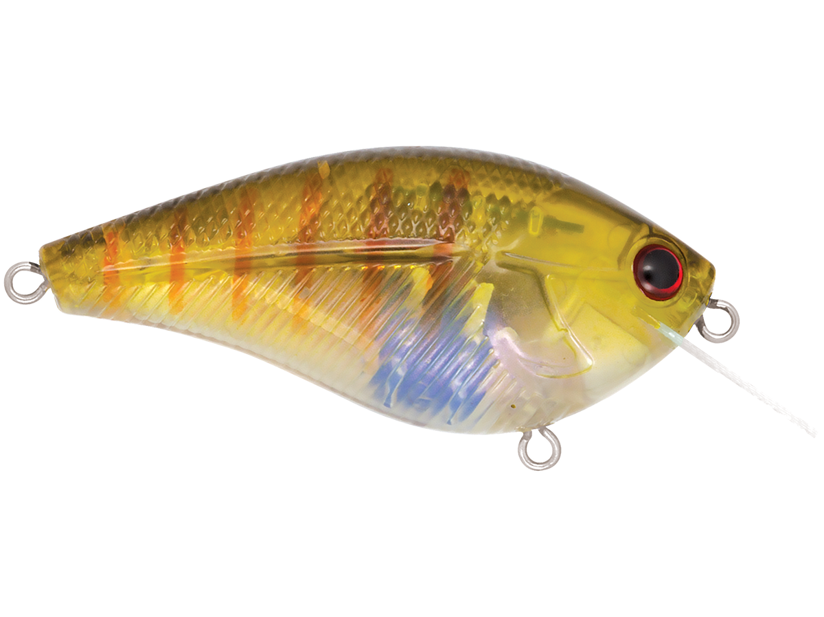 Livingston Lures Primetyme SQ 2.0 (EBS MultiTouch)