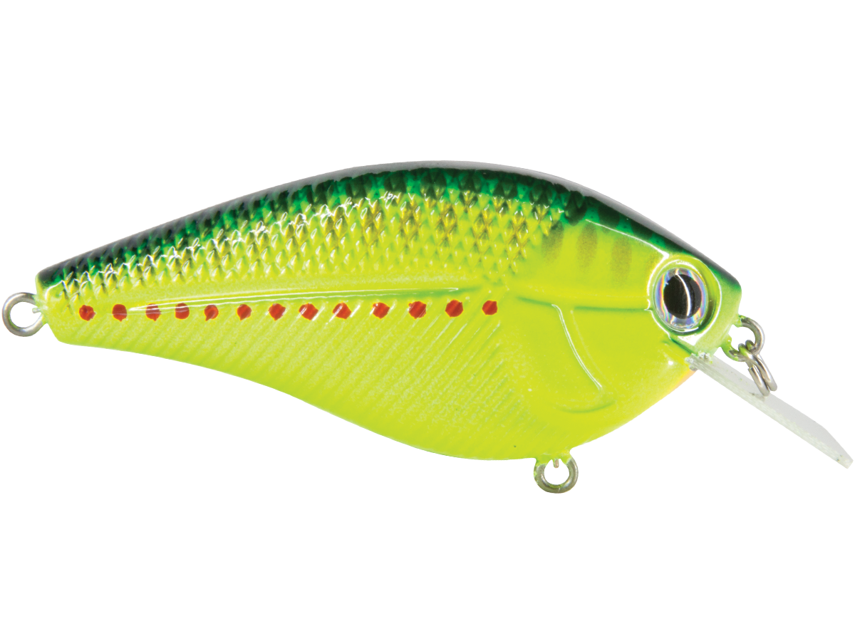 Livingston Lures Primetyme SQ 2.0 (EBS MultiTouch)