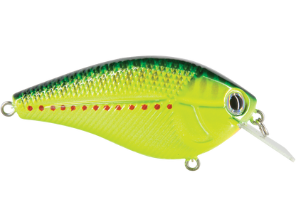 Livingston Lures Primetyme SQ 2.0 (EBS MultiTouch)