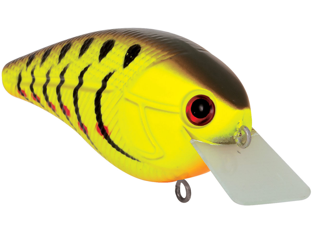Livingston Lures Primetyme SQ 2.0 (EBS MultiTouch)