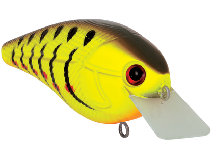 Livingston Lures Primetyme SQ 2.0 (EBS MultiTouch)