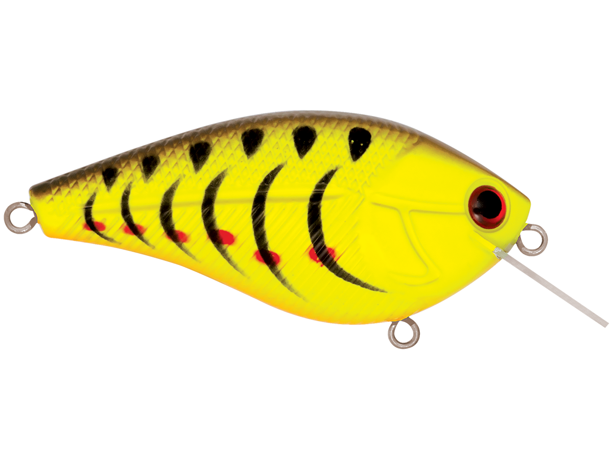 Livingston Lures Primetyme SQ 2.0 (EBS MultiTouch)