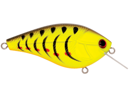 Livingston Lures Primetyme SQ 2.0 (EBS MultiTouch)