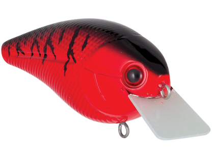 Livingston Lures Primetyme SQ 2.0 (EBS MultiTouch)