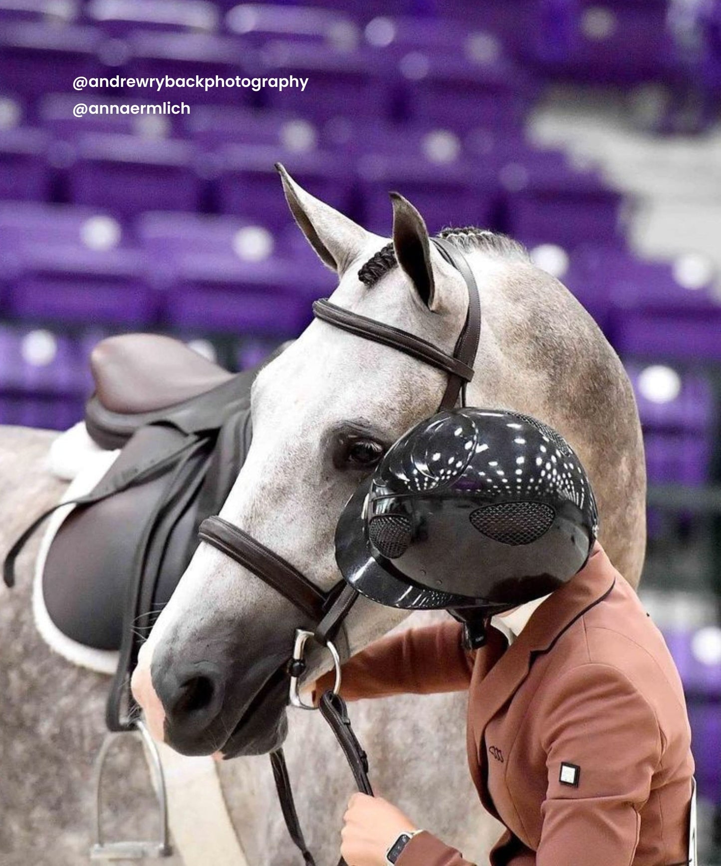 Bridles & Reins ExionPro 'Hercules' Hunter Bridle with Reins