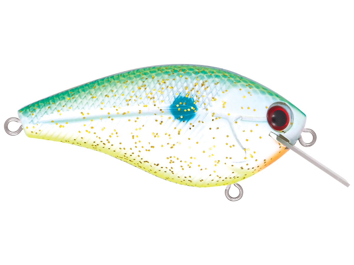 Livingston Lures Primetyme SQ 2.0 (EBS MultiTouch)