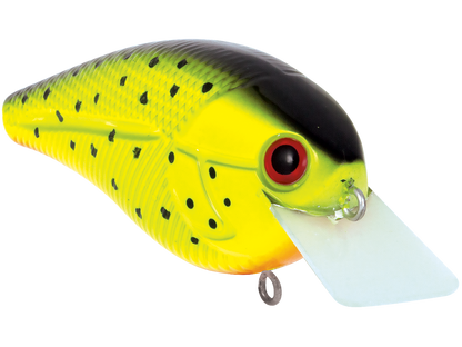 Livingston Lures Primetyme SQ 2.0 (EBS MultiTouch)