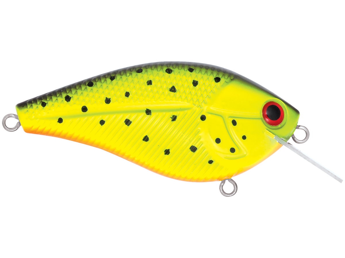 Livingston Lures Primetyme SQ 2.0 (EBS MultiTouch)