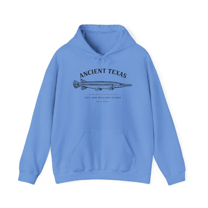 Texas Rigged Tees Ancient Texas — Unisex Hooded Sweatshirt