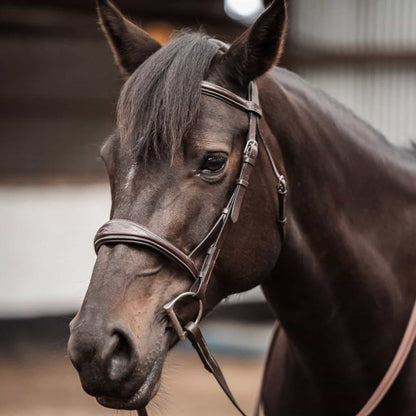 Bridles & Reins Replacement Noseband of ExionPro 'Perseus' Anatomical Jumping Bridle without Flash