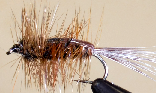 Stone Creek Halfback Nymph