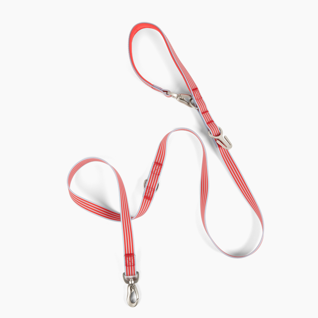 Springland Pets Waterproof Dog Leash - 5ft